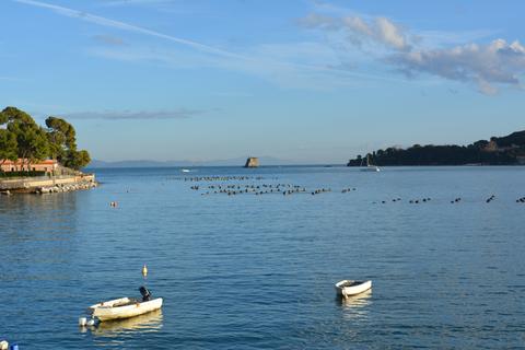     Torre Scola
